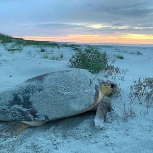 Meet your Posher, Cathy